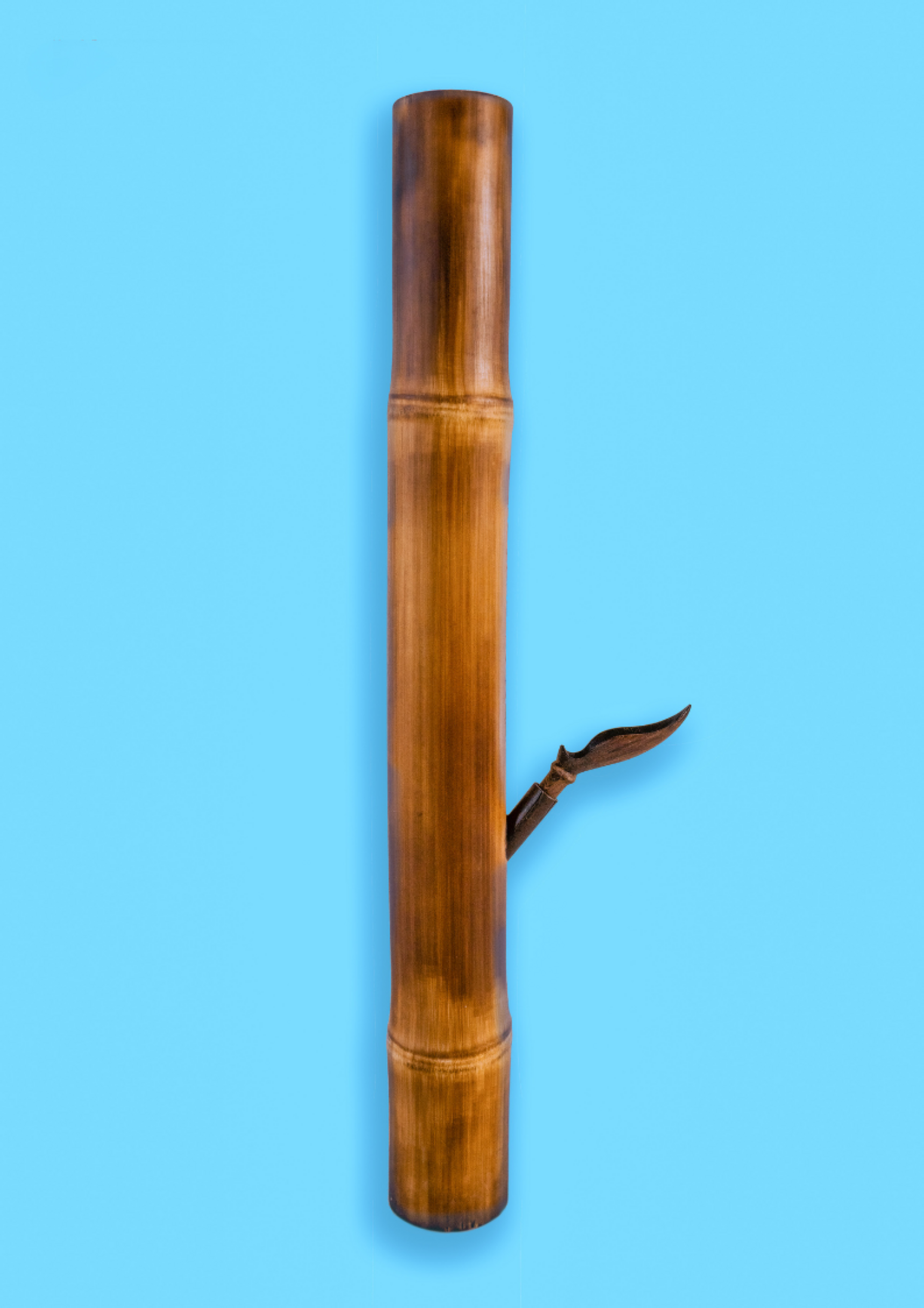Bongs Vs Pipes: Differences and Features for Dry Herb Lovers  TERRATOKES